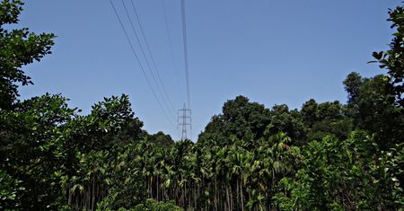 Elektryfikacja w Indiach