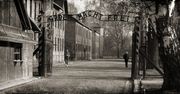 73. rocznica wyzwolenia obozu Auschwitz – Birkenau