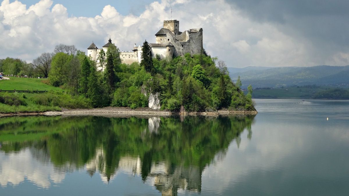 zdjęcie