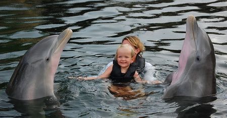 Sesja terapeutyczna w Island Dolphin Care