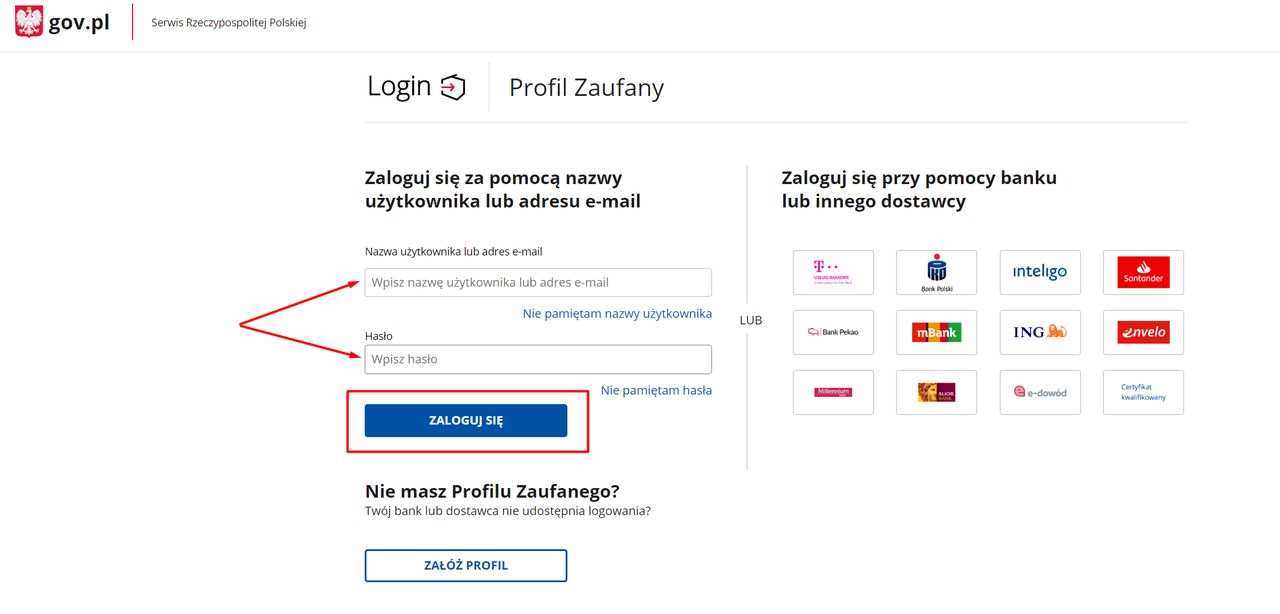 Krok 2: uzupełnij nazwę użytkownika (lub adres e-mail) oraz hasło.