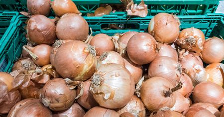 Wysłali cebulę do Polski. Zarobili 216 mln zł. Skąd pochodzi?