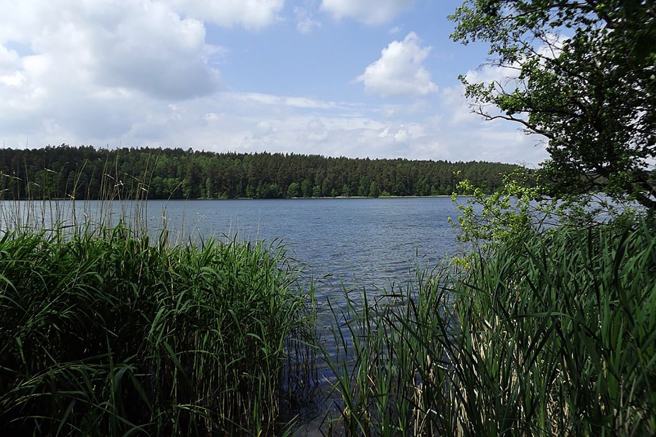 Wstrząsający widok na jeziorze. Wędkarz natychmiast powiadomił służby