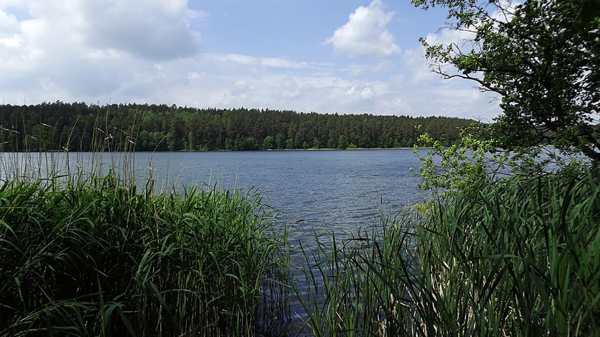 Z jeziora Święte w woj. warmińsko-mazurskim wyłowiono zwłoki mężczyzny