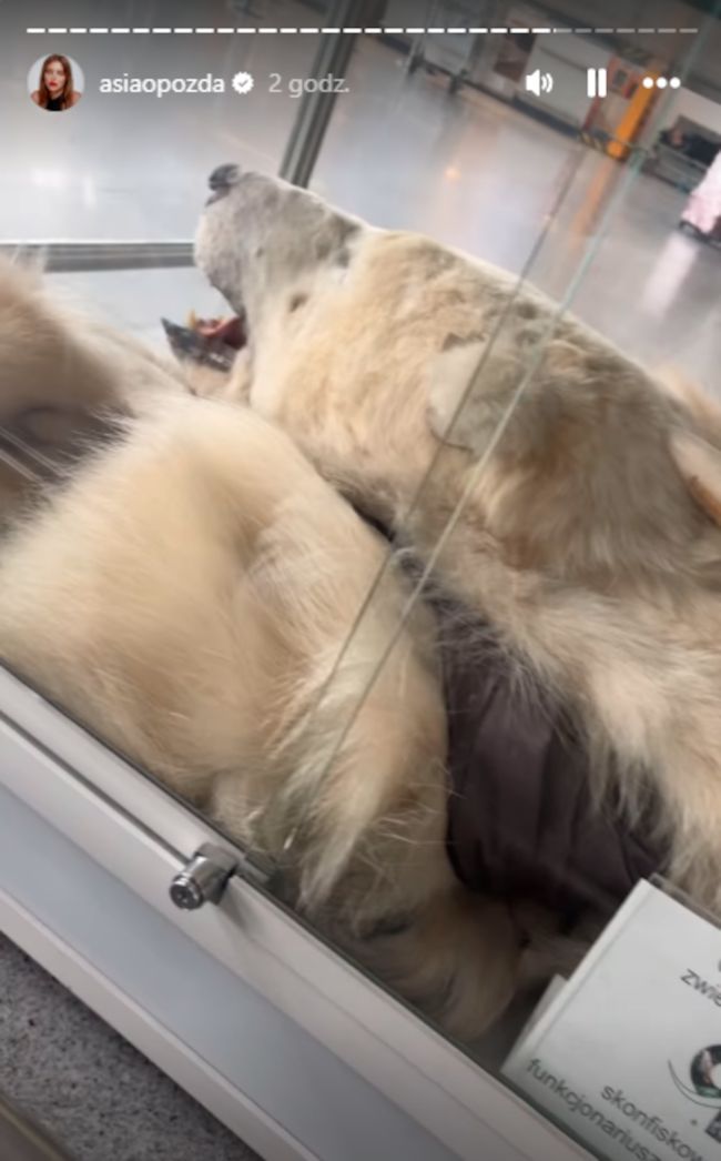 Relacja Joanny Opozdy. Szokujące słowa innej podróżnej