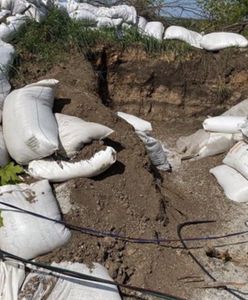 "Nagroda Darwina" dla Rosjan. Nie do wiary, czym żołnierze umocnili stanowisko