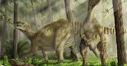 Historia dinozaurów do poprawki. Nowe dane zaskakują naukowców