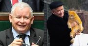 Koty dostaną trzynastkę od Kaczyńskiego. "Wszyscy wiedzą, że duża jest miłość pana prezesa do zwierząt"