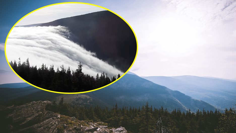 Trzeba mieć sporo szczęścia, żeby zobaczyć wał fenowy 