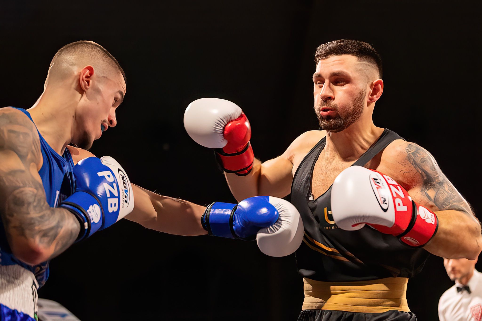 Polska Liga Boksu Pomorzanin Boxing Team - Imperium Wałbrzych