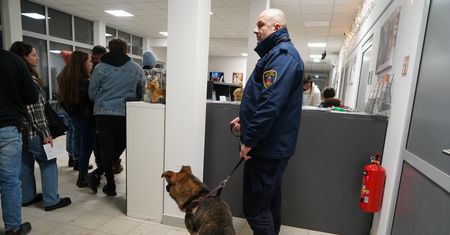 Jeden wpis na FB. W schronisku dla zwierząt ustawiły się kolejki