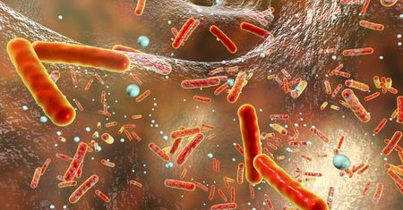 Legionella w Czechach. Eksperci: Prawdziwe liczby są wyższe od oficjalnych