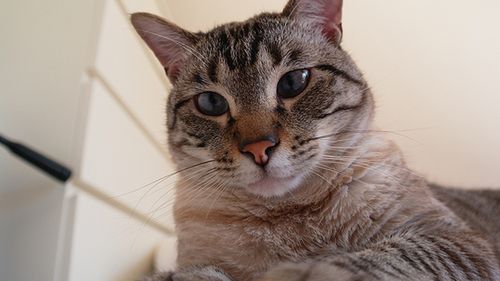 Samsung NX10 - TEST część 2 14