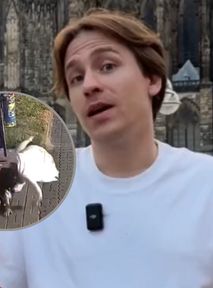 Spuściła łomot złej osobie? Popularny prawnik reaguje