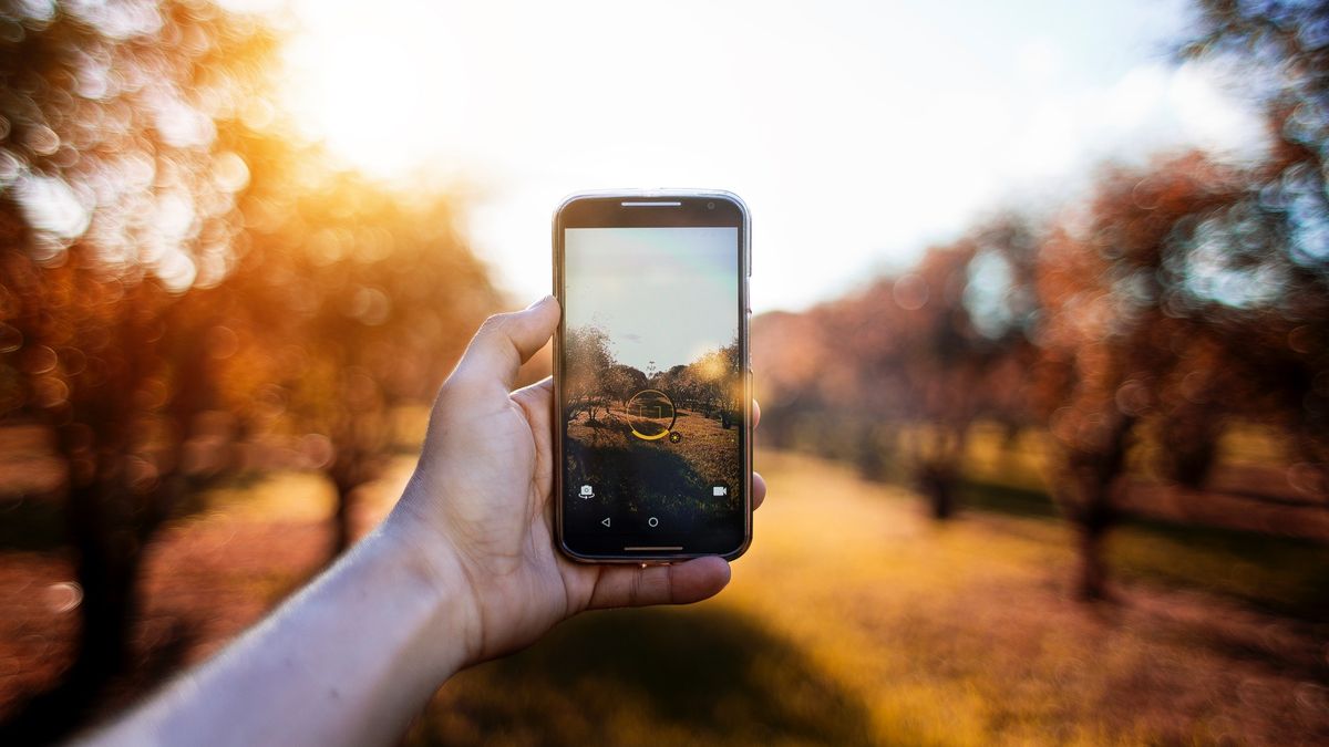 Smartfon to często jedyny aparat. Pokazujemy, w czym edytować zdjęcia