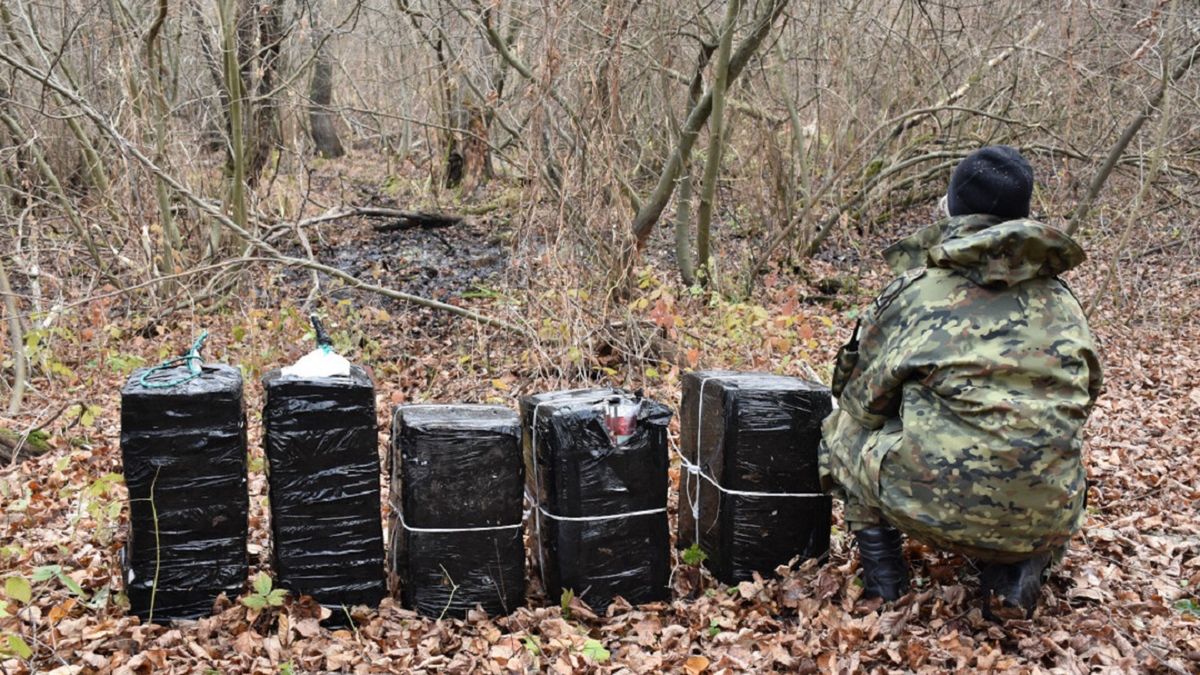 W zabezpieczonych pakietach znajdowały się papierosy bez polskich znaków akcyzy w ilości ponad 71 tys. sztuk o szacunkowej wartości ponad 53 tys. zł.