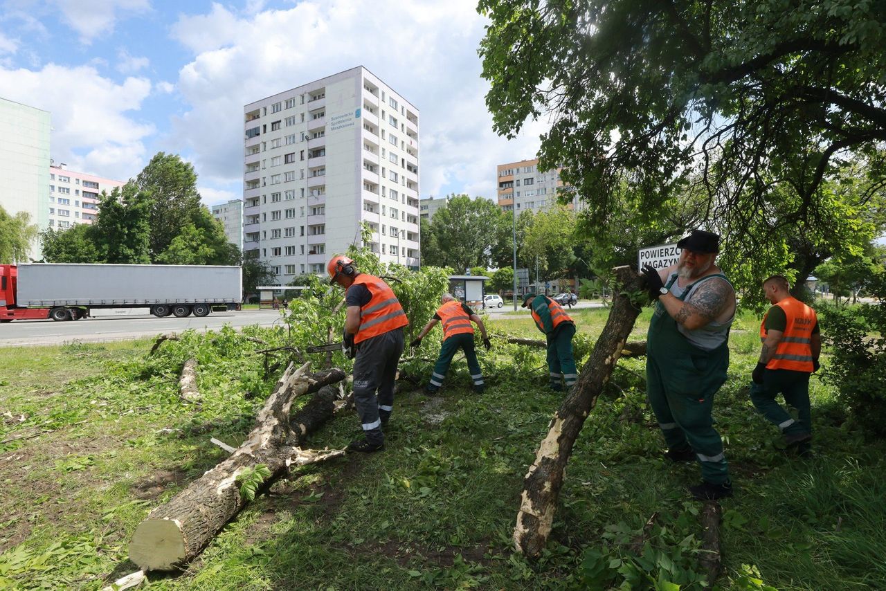 Trwa wielkie sprzątanie po nawałnicach w Sosnowcu. Ponad 160 zdarzeń. "Działania trwają"