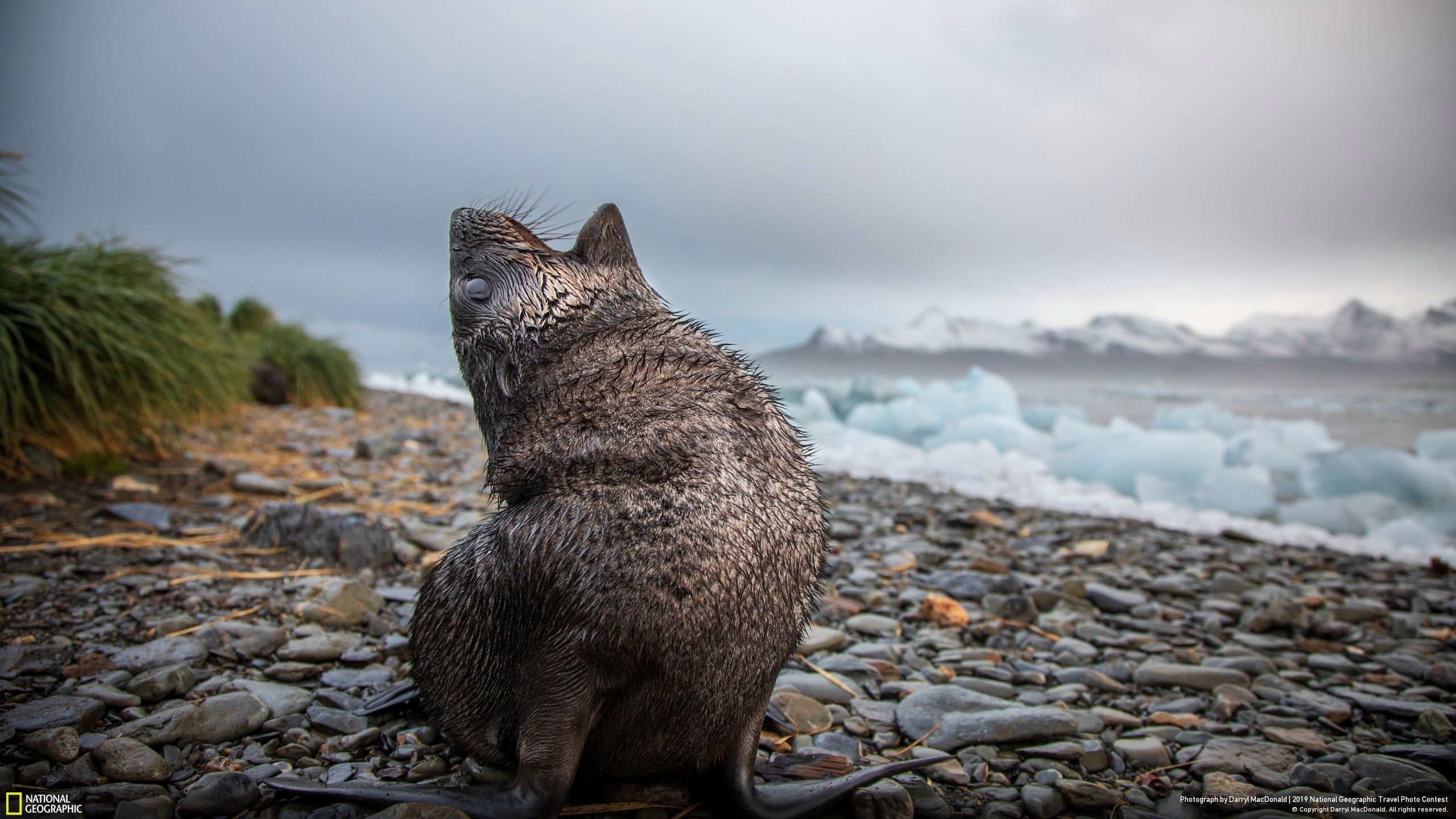 Niesamowite zdjęcia finalistów National Geographic Travel Contest 2019 37