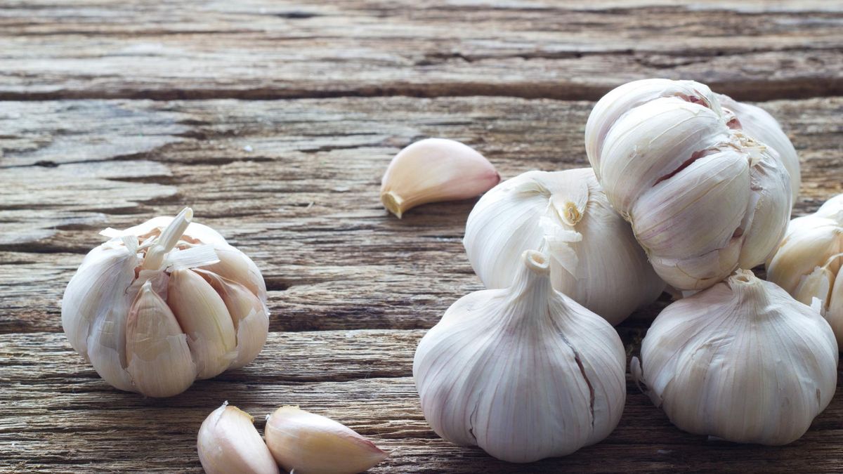 Czosnek może być stosowany zewnętrznie, np. na blizny potrądzikowe.