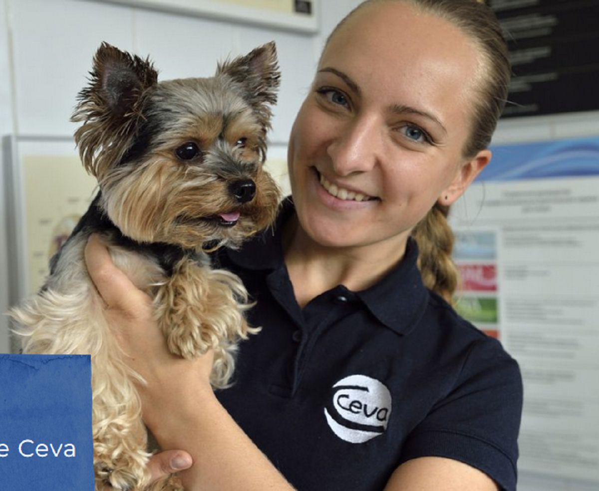 Ceva Animal Health Polska klientem Friends&Brands