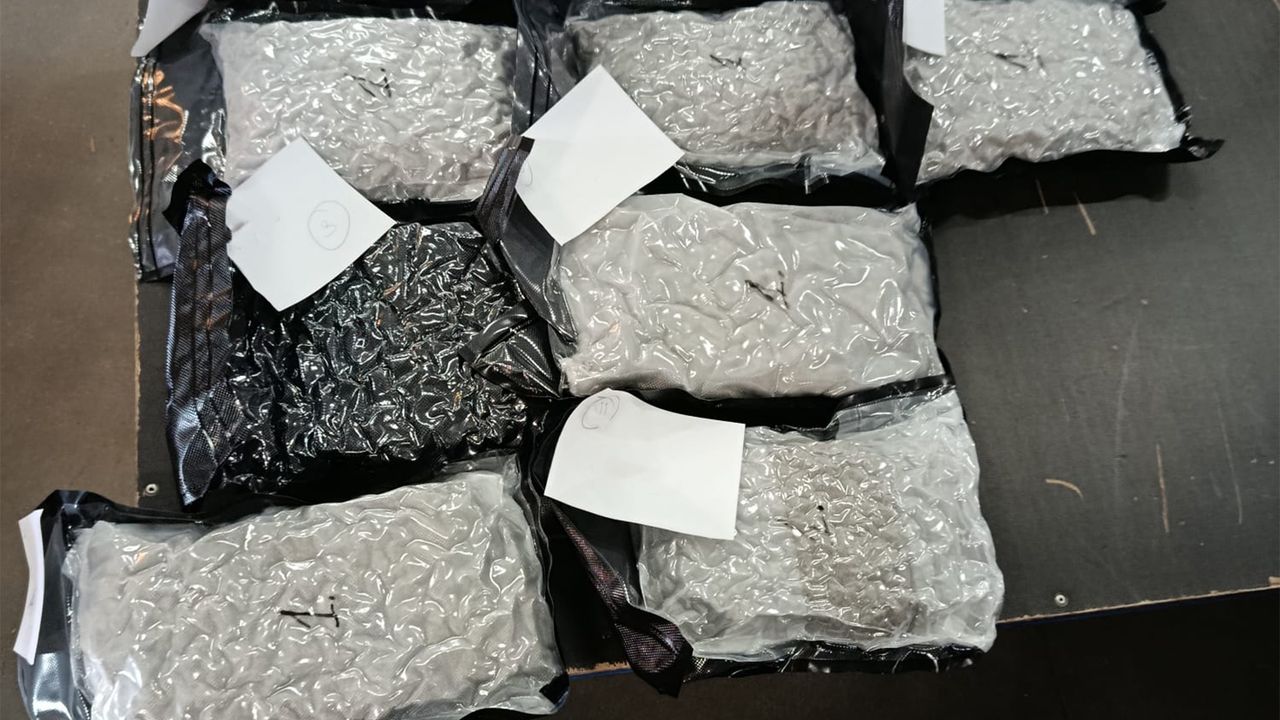 Ponad 40 kg marihuany w paczkach z Kanady. KAS rozbiła przemytniczy kanał