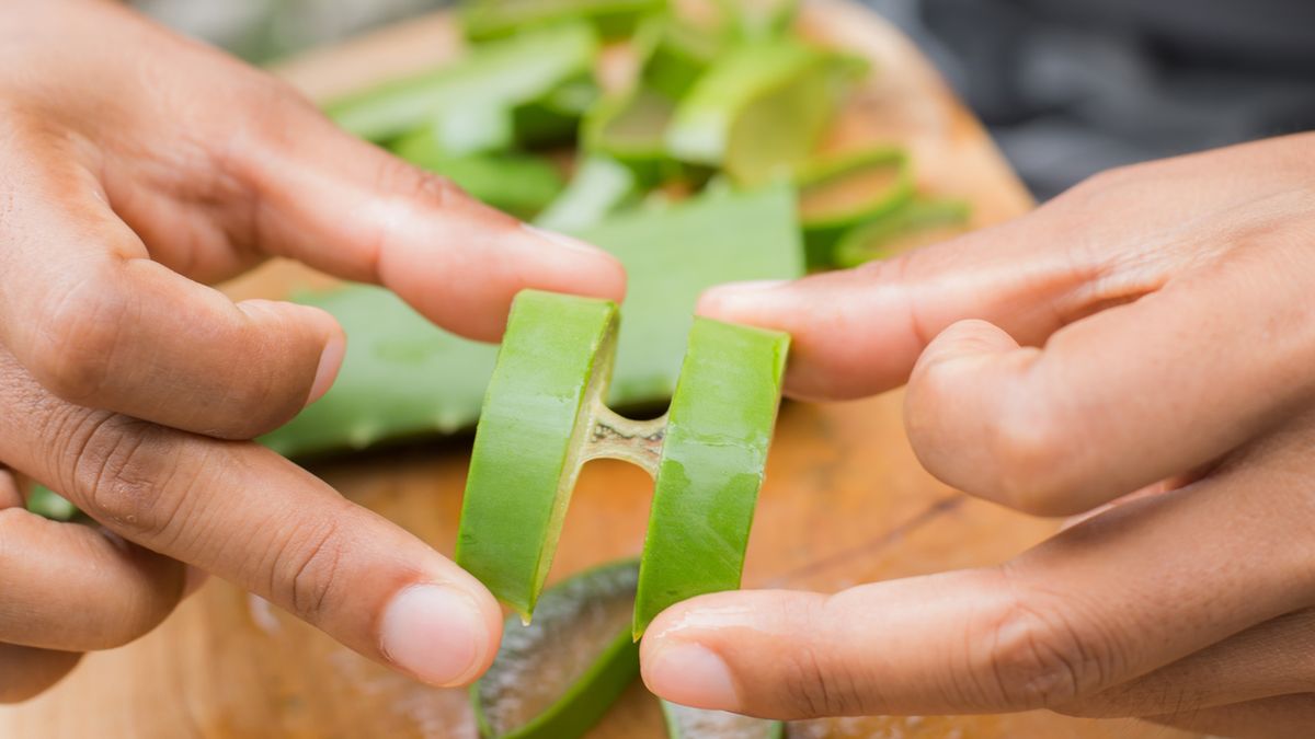 Aloes łagodzi objawy łupieżu