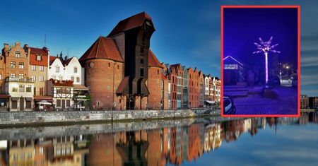 Palma stanęła w historycznym centrum Gdańska. Miasto rozkłada ręce