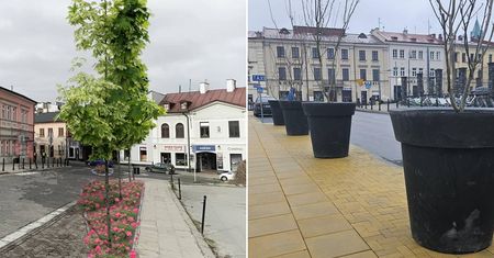 Miały być lipy i klony w ziemi, są donice z wiśniami. Tak wygląda nowa zieleń w centrum Lublina