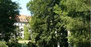 Uniwersytet Przyrodniczy w Poznaniu szuka starych zdjęć Ogrodu Dendrologicznego