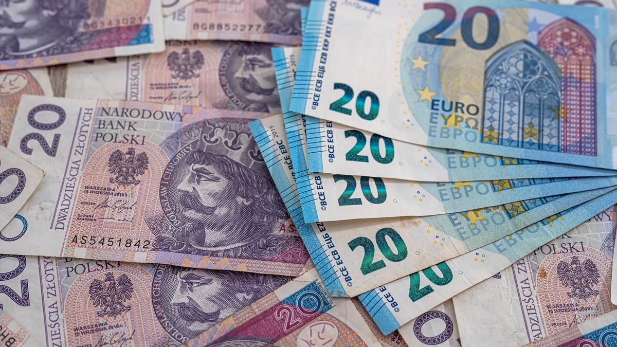 heap pile of euro bills with polish zloty as finance backgroundheap pile of euro bills with polish zloty as finance background.  Currency confrontationalfexeeuro in poland, pln, polski
