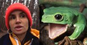 Viola Kołakowska wstrzyknęła sobie JAD AMAZOŃSKIEJ ŻABY! "Po tym nie musicie się już niczego bać"