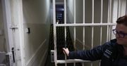 Wrocław: Skandal. Wyrzucił królika przez okno i groził policjantowi