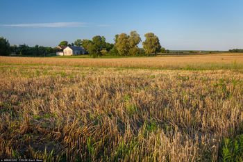 Proceder na ziemię. Straty na ponad pół miliona złotych