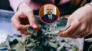 Co dalej z "lex szarlatan". Ustawa wywołuje spór o granice ochrony pacjentów