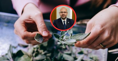 Co dalej z "lex szarlatan". Ustawa wywołuje spór o granice ochrony pacjentów