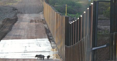 Potężny mur na granicy z Białorusią. Ujawniono koszt budowy