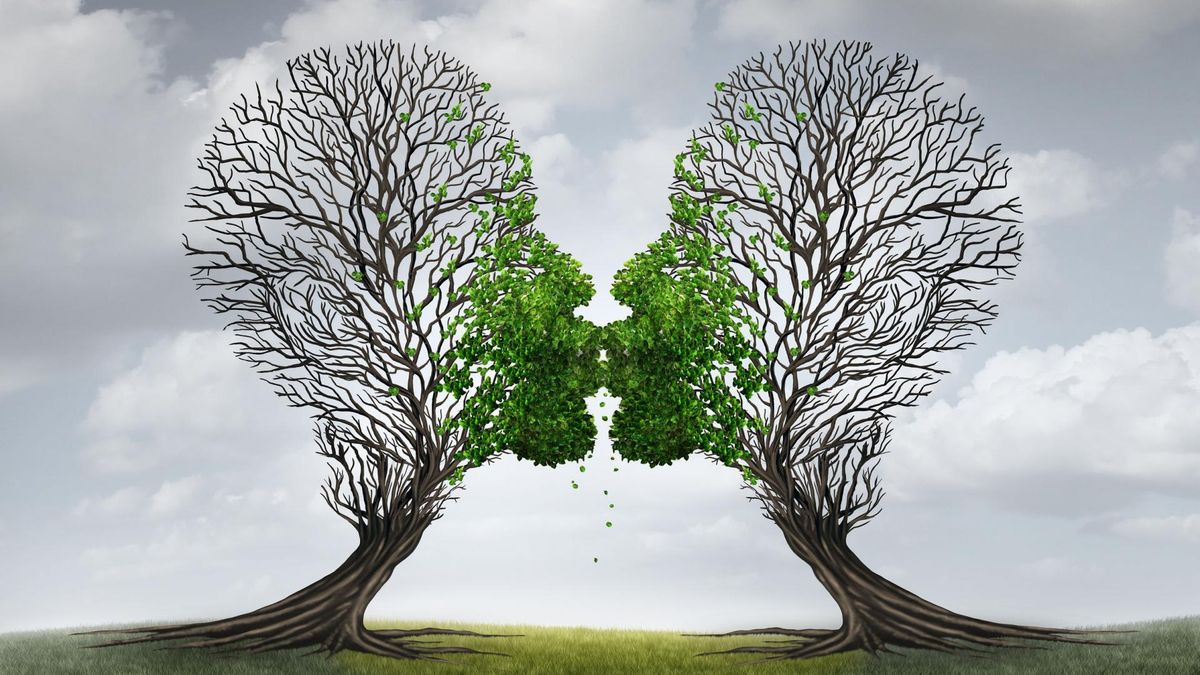 Rozwój związku a psychoterapia par