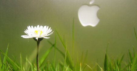 Apple znów pozywa Samsunga. Gdzie tym razem?