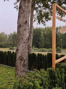 Green funerals in Krakow: The most eco-friendly way to go