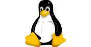 Linux na Androidzie