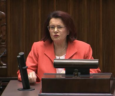 "Co zrobił w grudniu?". Posłanka uderzyła z mównicy w Tuska [RELACJA NA ŻYWO]