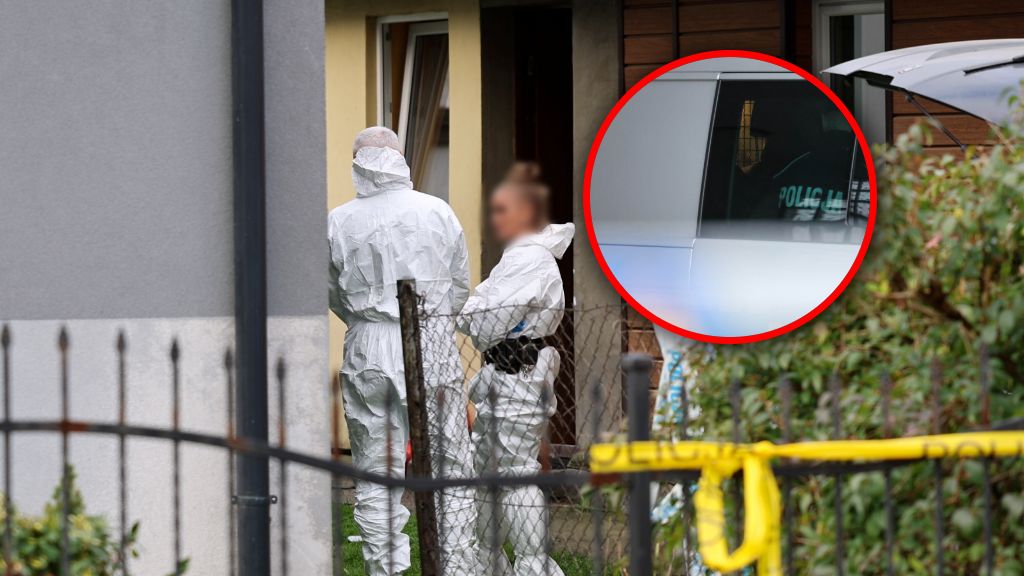 Zatrzymany 25-latek usłyszał prokuratorskie zarzuty