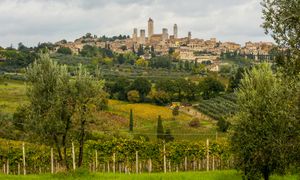 Sensacyjne odkrycie w Toskanii. Mieści się pod powierzchnią