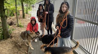 Pochmurna niedziela nie odstraszyła wolontariuszy. Wszystkie psy z radomskiego schroniska wyszły na spacer. Zobacz zdjęcia