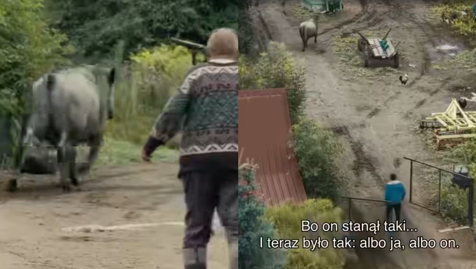 Ucieczka była z gospodarstwa Andrzeja z Plutycz