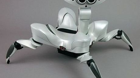 Robo-coś za 80 funtów 1