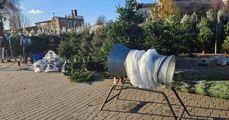 Ruszyło największe targowisko z choinkami w Lublinie. Są tu najwięksi plantatorzy z naszego regionu