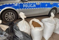 Bolesławiec. Nielegalny tytoń w rękach policjantów. Zabezpieczono prawie 100 kilogramów