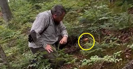 Leśnik znalazł wyjątkowego prawdziwka. Zdradził dobre miejsca na grzyby