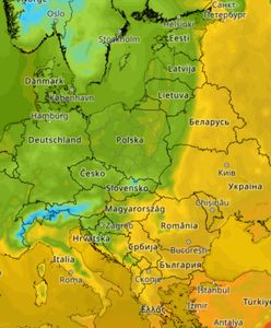 Deszcz i przymrozki. Jest najnowsza prognoza